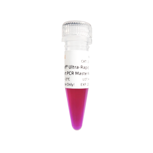 2× Hieff® Ultra-Rapid II HotStart PCR Master Mix