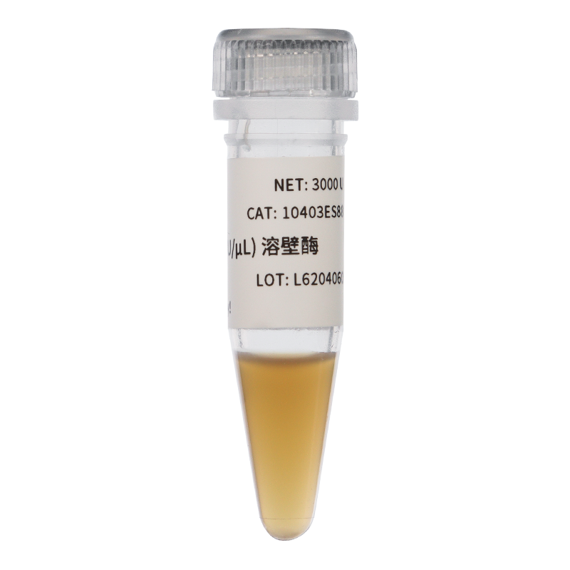 Lyticase (10 U/μL)溶壁酶