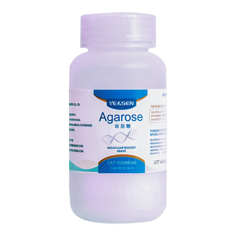 Agarose琼脂糖
