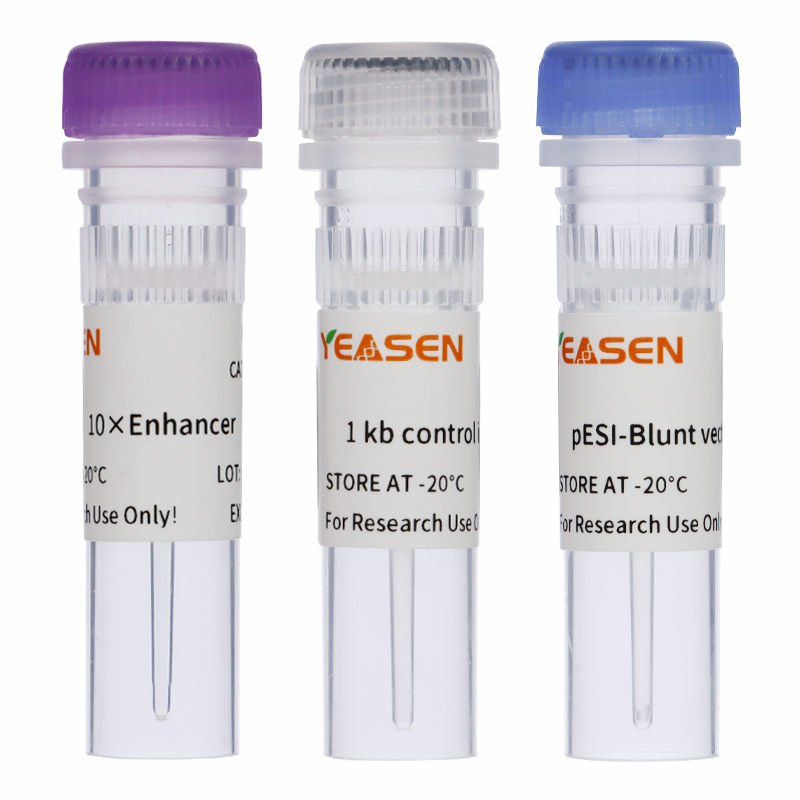 Hieff Clone® Zero TOPO-Blunt Cloning Kit 零背景TOPO-Blunt平末端克隆试剂盒