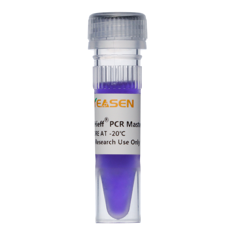 2× Hieff® PCR Master Mix (With Dye)