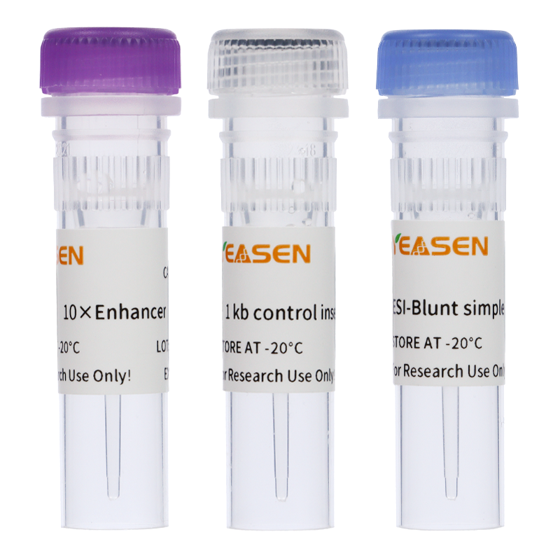Hieff Clone® Zero TOPO-Blunt Simple Cloning Kit 零背景TOPO-Blunt平末端克隆试剂盒（不含MCS多克隆酶切位点）
