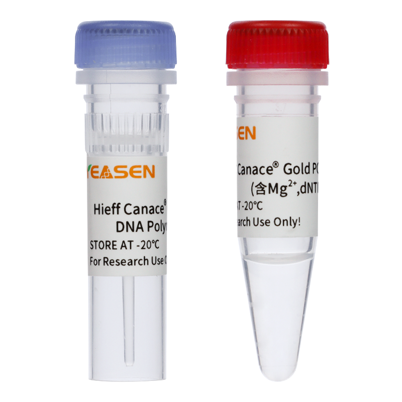 Hieff Canace® Gold High-Fidelity DNA Polymerase 高保真DNA聚合酶