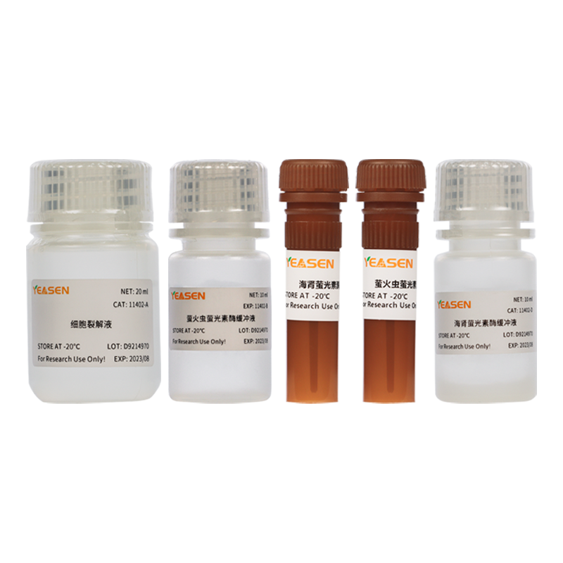 Dual Luciferase Reporter Gene Assay Kit 双荧光素酶报告基因检测试剂盒