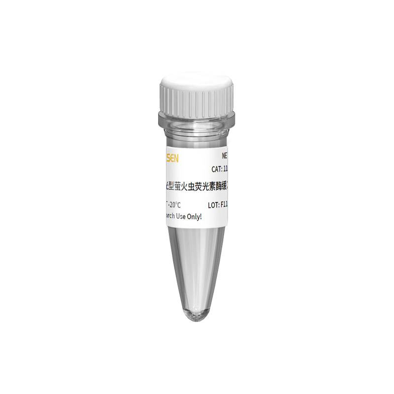 Dual One Step Luciferase Reporter Gene Assay Kit 辉光型双荧光素酶报告基因检测试剂盒