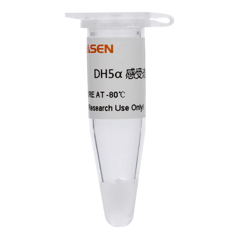 DH5α Chemically Competent Cell DH5α化学感受态细胞