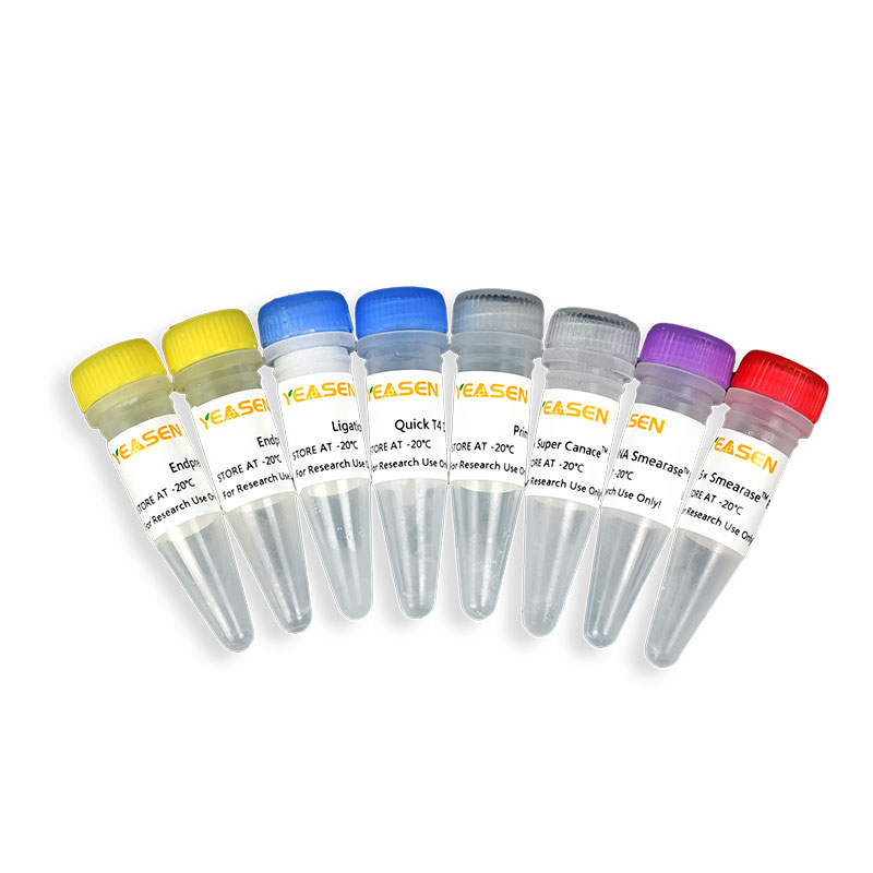 Hieff NGS® OnePot Pro DNA Library Prep Kit V2/ 兼容Illumina和MGI双平台酶切DNA建库试剂盒V2