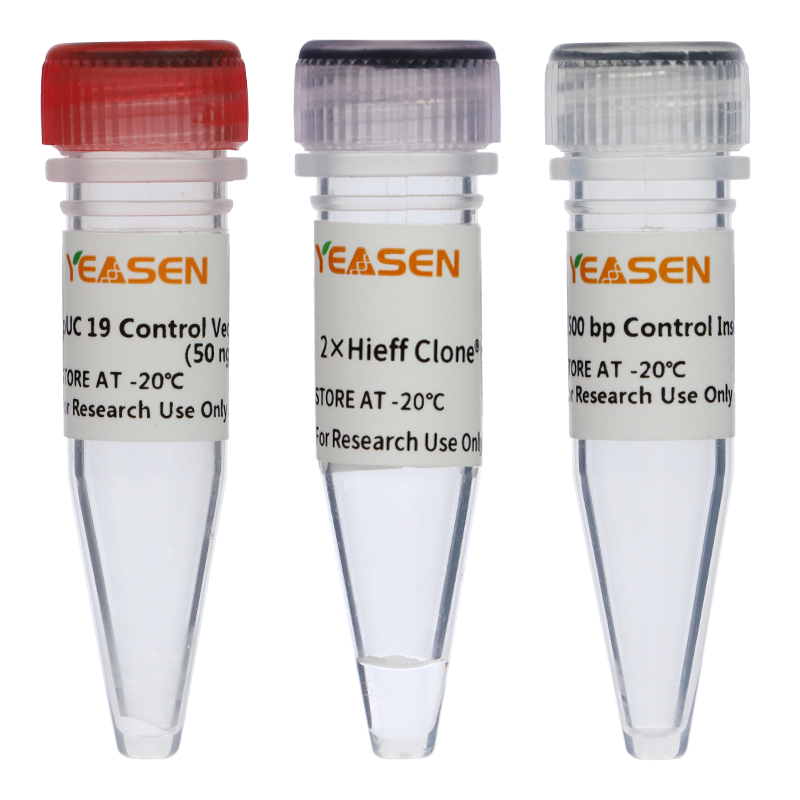 Hieff Clone® Plus One Step Cloning Kit 一步法快速克隆试剂盒