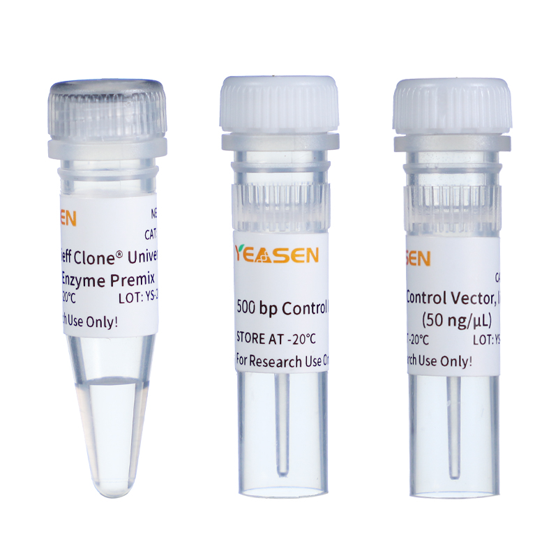 Hieff Clone® Universal II One Step Cloning Kit