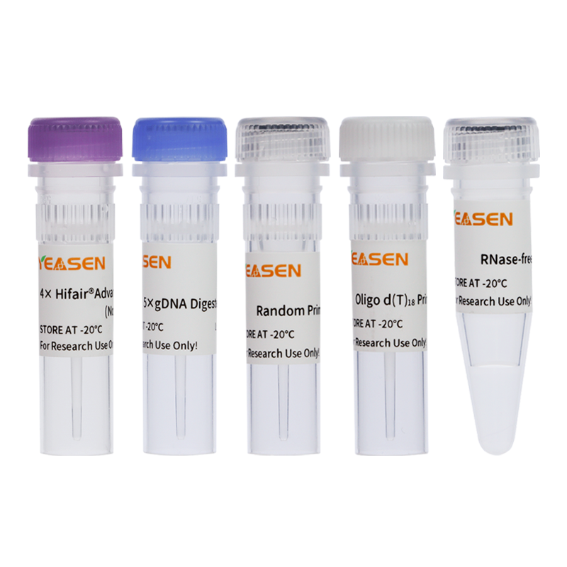 Hifair® AdvanceFast 1st Strand cDNA Synthesis Kit (No Dye)