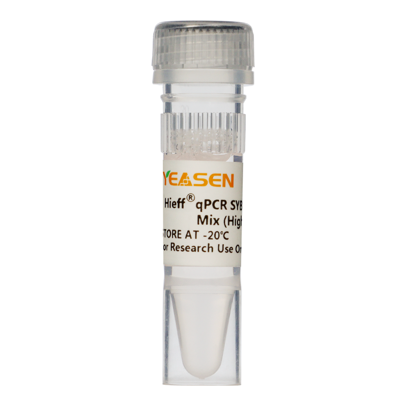 Hieff® qPCR SYBR Green Master Mix (High Rox Plus)