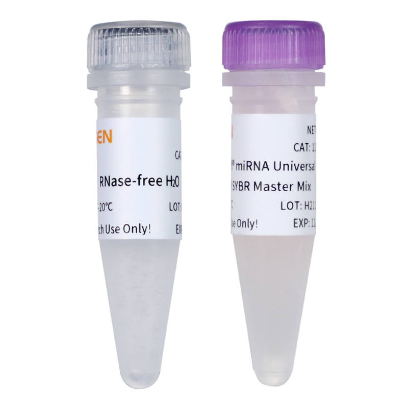 Hieff® miRNA Universal qPCR SYBR Master Mix(加A法)