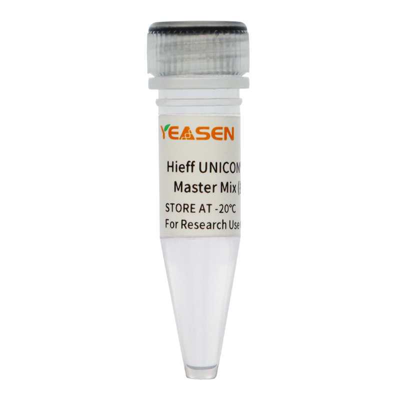 Hieff UNICON® qPCR SYBR Green Master Mix ( 抗体法,High Rox)