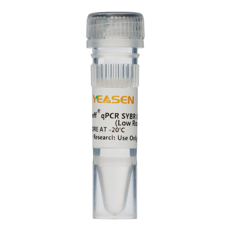 Hieff® qPCR SYBR Green Master Mix (Low Rox Plus)