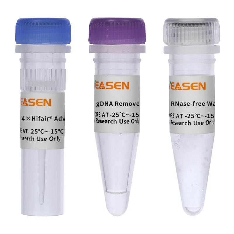 Hifair® AdvanceFast One-step RT-gDNA Digestion SuperMix for qPCR