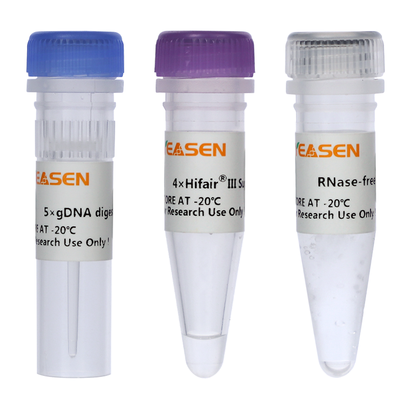 Hifair® III 1st Strand cDNA Synthesis SuperMix for qPCR(gDNA digester plus)