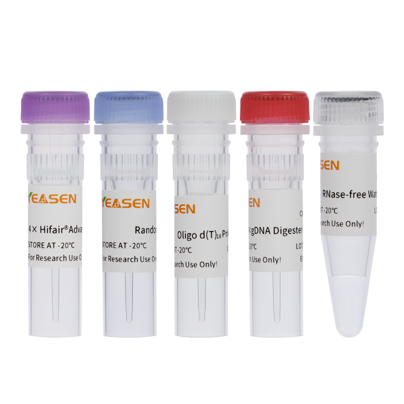 Hifair® AdvanceFast 1st Strand cDNA Synthesis Kit