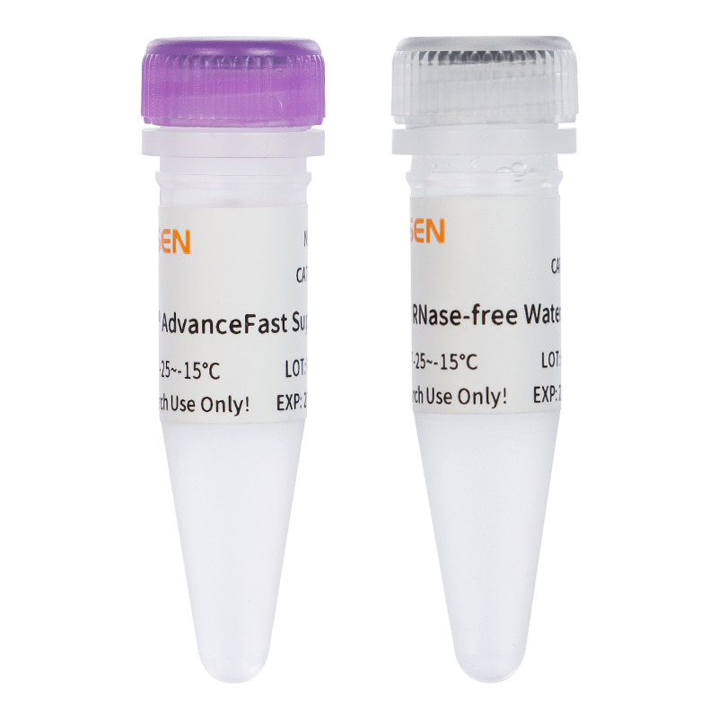 Hifair® AdvanceFast 1st Strand cDNA Synthesis SuperMix for qPCR (DNA digester plus)