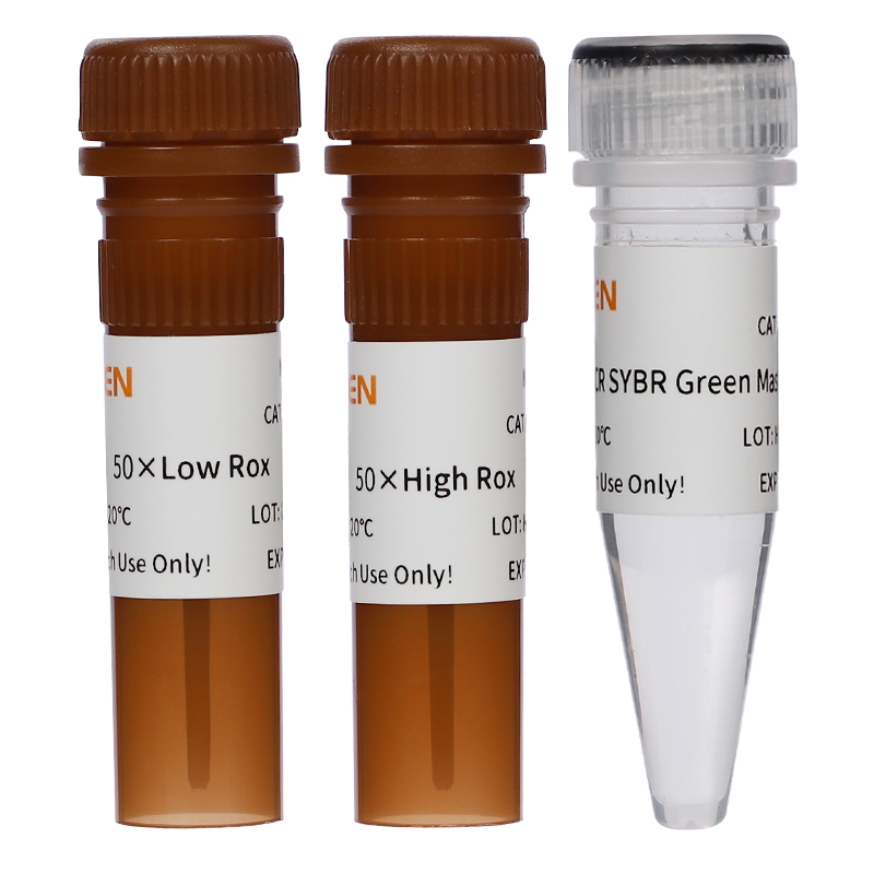 Hieff® qPCR SYBR Green Master Mix (Rox Provided Seperately)