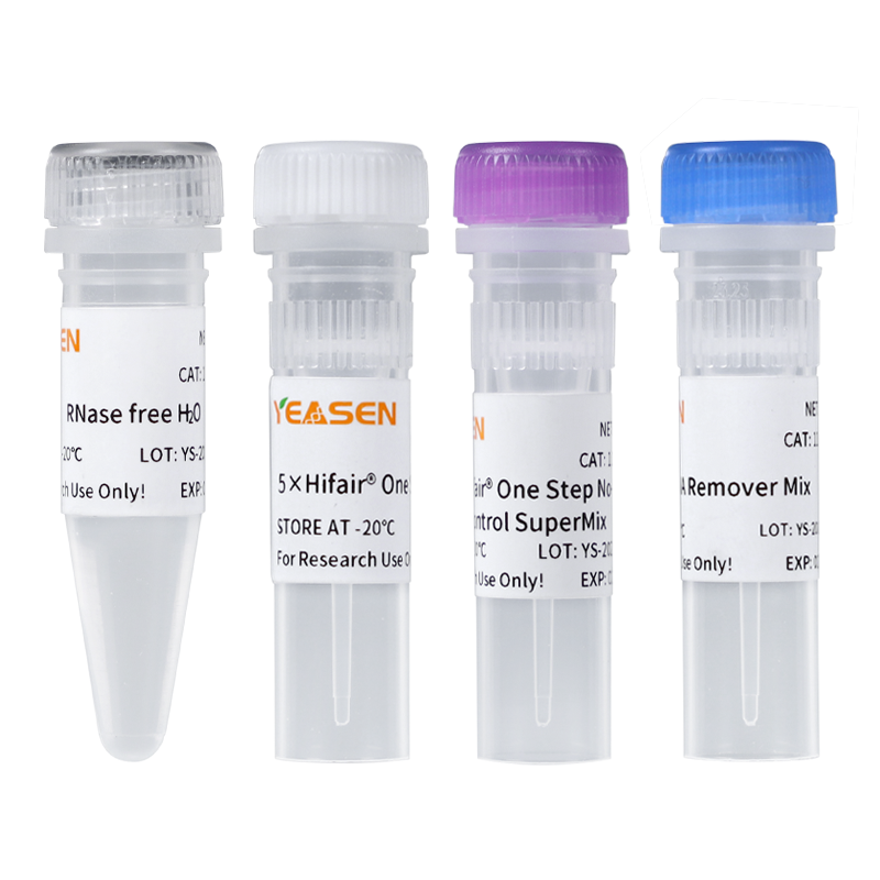 Hifair® V one-step RT-gDNA digestion SuperMix for qPCR