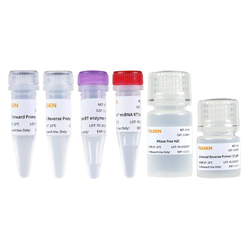 Hifair® miRNA 1st Strand cDNA Synthesis Kit(加A法)