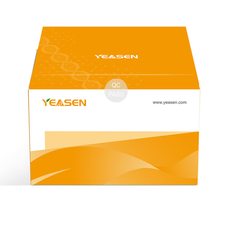 Recombinant DNase I Set (RNase-free, Yeast) 重组DNase I (酵母表达)