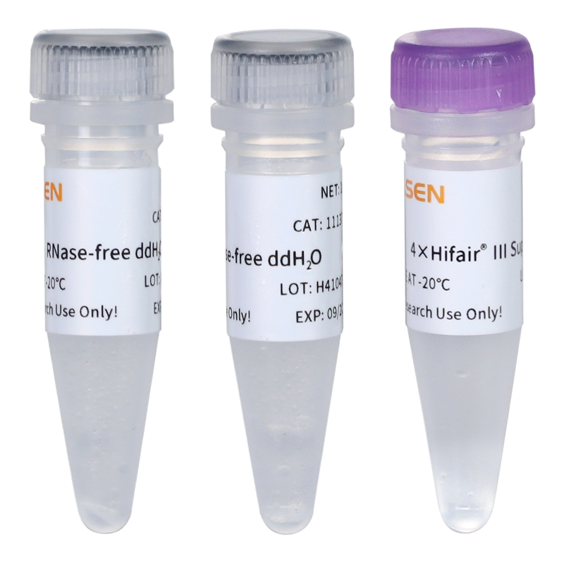 Hifair® III 1st Strand cDNA Synthesis SuperMix for qPCR(gDNA digester plus)