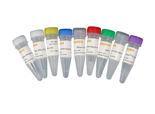 Hifair® II 1st Strand cDNA Synthesis Kit (gDNA digester plus)