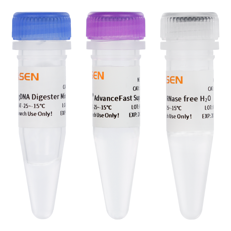 Hifair® AdvanceFast 1st Strand cDNA Synthesis SuperMix for qPCR (DNA digester plus)